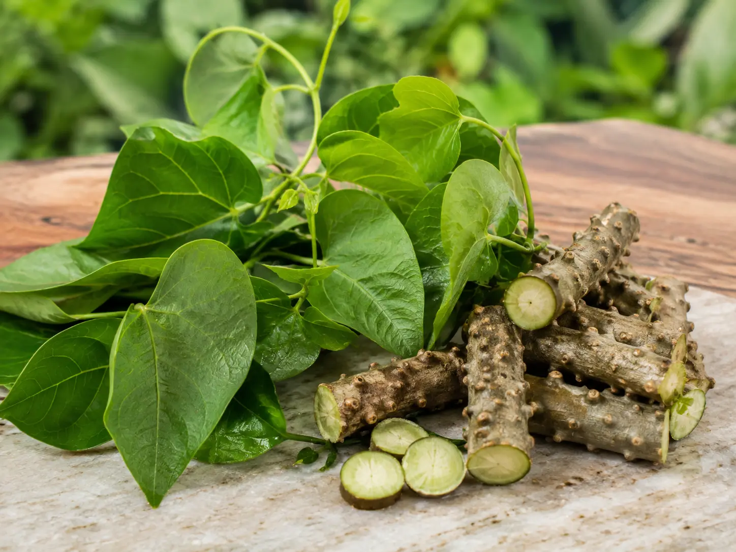 Daun herbal dan potongan batang tanaman sebagai ilustrasi bahan formula